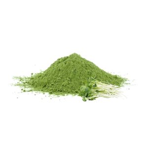 compra y venta de alfalfa en polvo por mayor y menor Perú a Lima y provincias