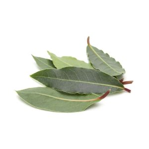 compra y venta de Hoja de Laurel Perú por mayor y menor a Lima y provincias