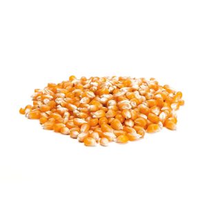 compra y venta de Maíz Pop Corn Peru por mayor y menor a Lima y provincias