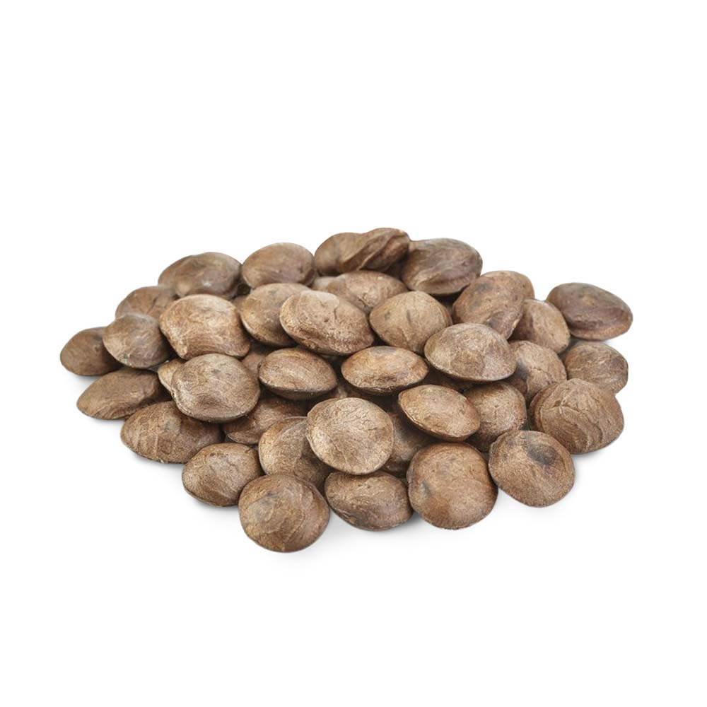 compra y venta de sacha inchi con cáscara Peru por mayor y menor a Lima y provincias