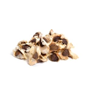 compra y venta de Semilla de Moringa Perú por mayor y menor a Lima y provincias