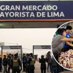 El corazón del comercio mayorista: Mercado Mayorista de Santa Anita en Lima