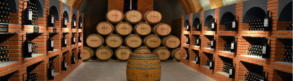 bodega vinicola