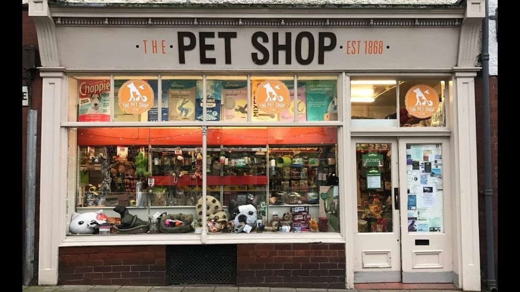 como crear mi pet shop