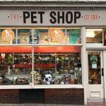 como crear mi pet shop