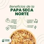 Beneficios-de-la-Papa-Seca-Norte