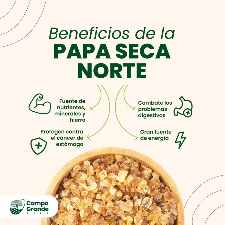 Beneficios-de-la-Papa-Seca-Norte