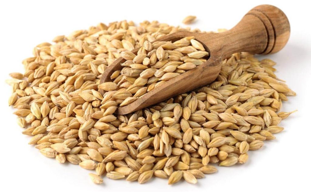 compra y venta de cebada cruda Perú por mayor y menor a Lima y provincias