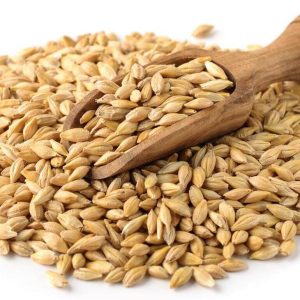 compra y venta de cebada cruda Perú por mayor y menor a Lima y provincias