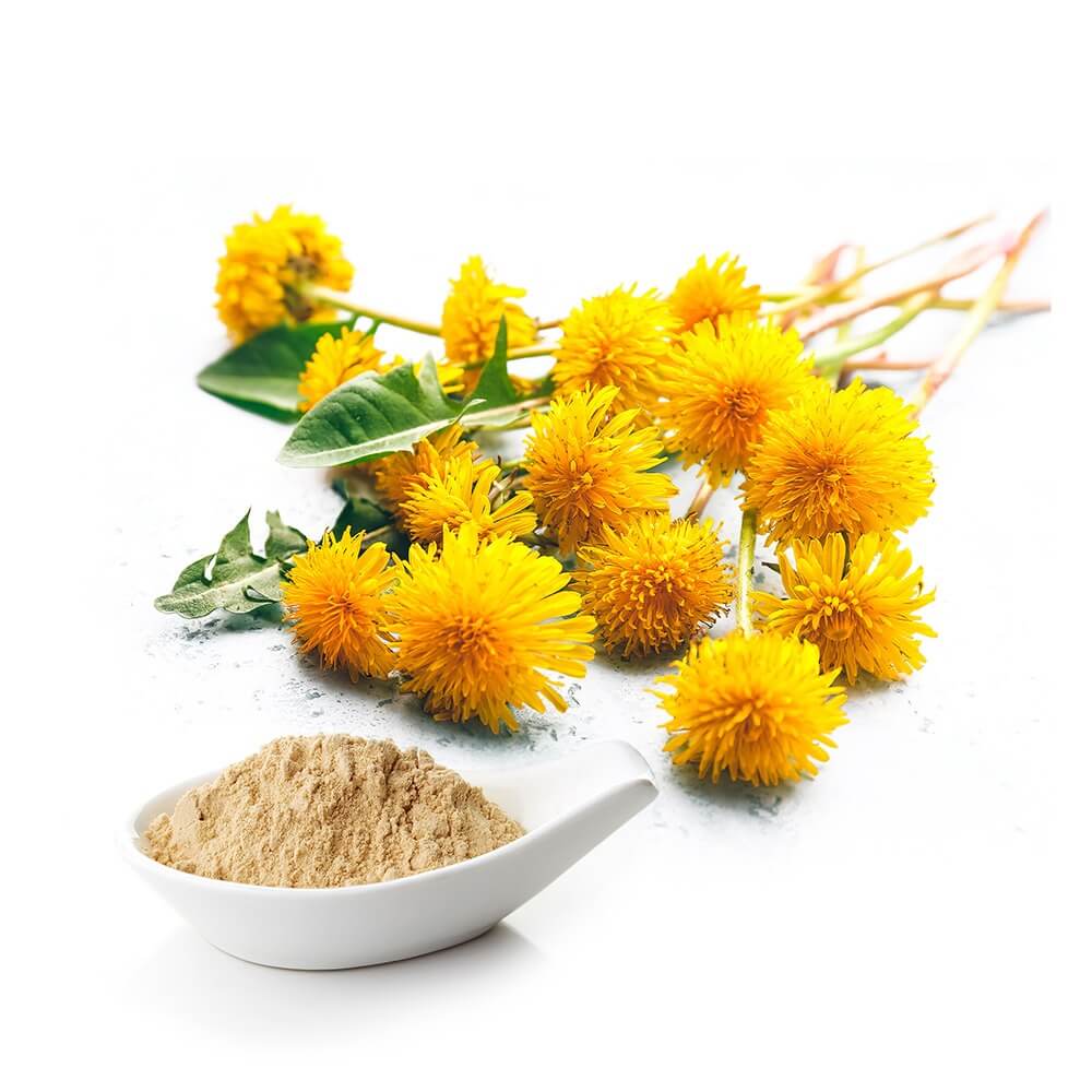 compra y venta de harina de diente de león Perú por mayor y menor a Lima y provincias