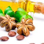 aceite de sacha inchi en ayunas campo grande peru lima y provincias
