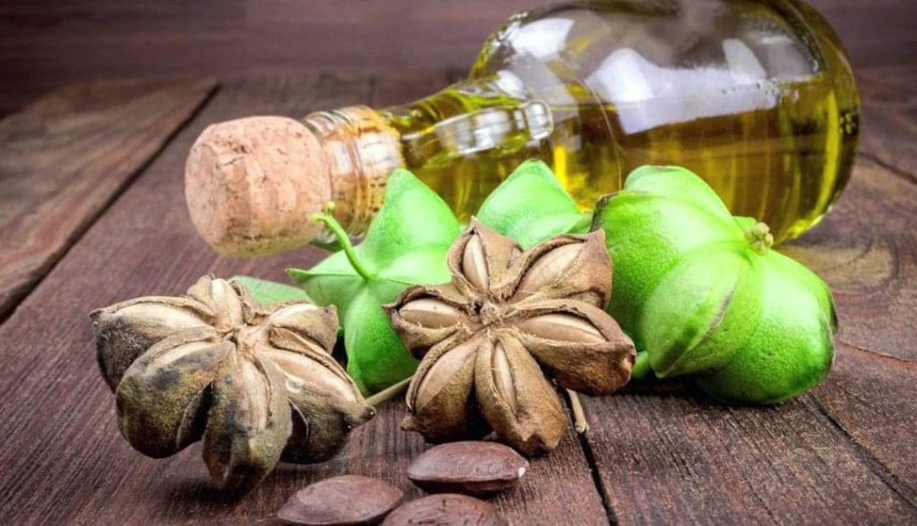 aceite de sacha inchi en ayunas 2