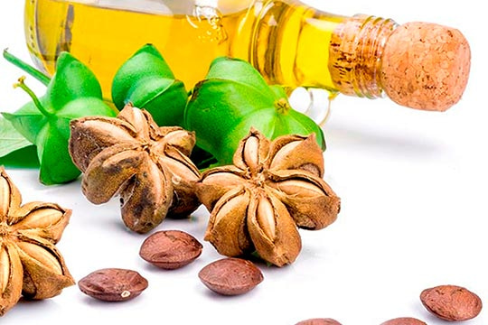 aceite de sacha inchi en ayunas campo grande peru lima y provincias
