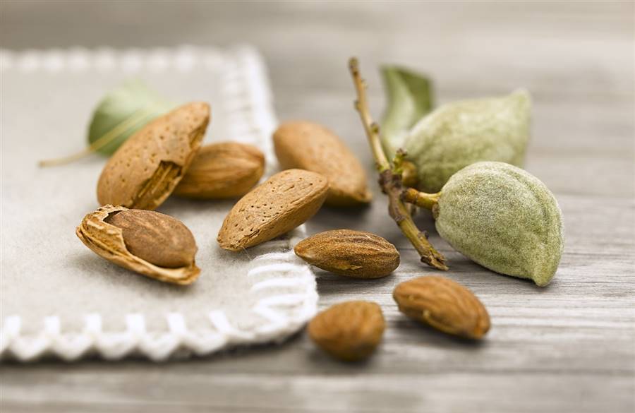 almendro 2