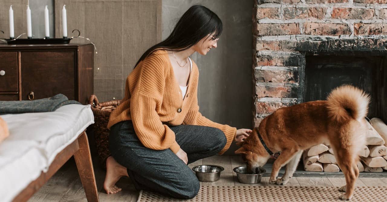avena para perro