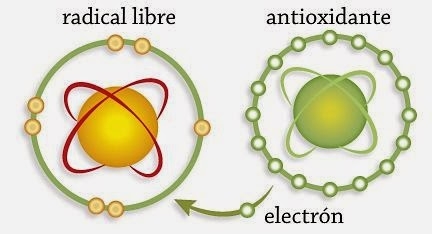 beneficios del aceite de sacha inchi 2