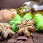 beneficios del aceite de sacha inchi campo grande peru lima y provincias
