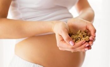 beneficios del pistacho en el embarazo campo grande peru lima y provincias