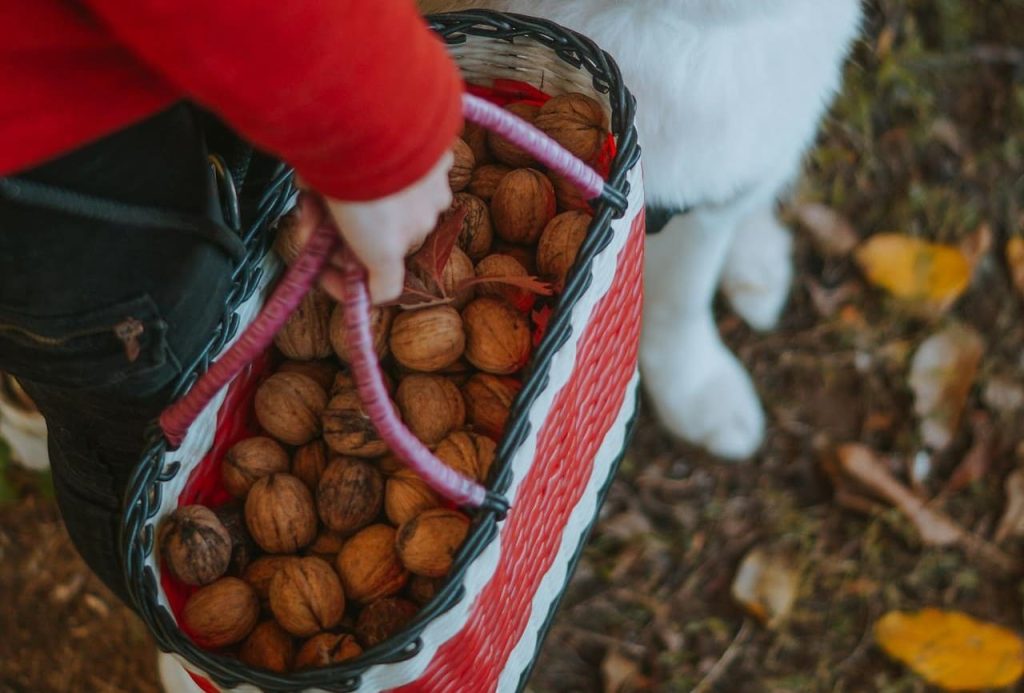 budin de banana y nuez campo grande min