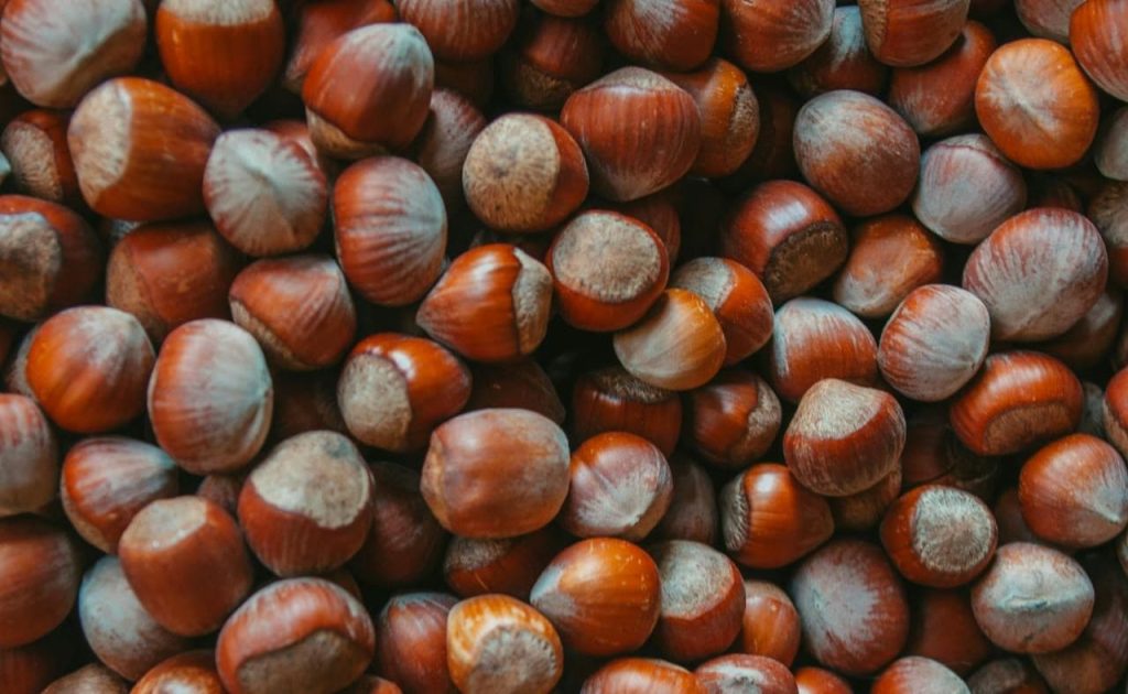 venta de castañas y avellanas en Campo Grande