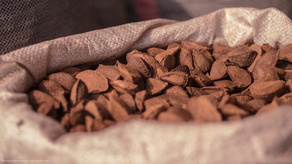 castanas peruanas muestra