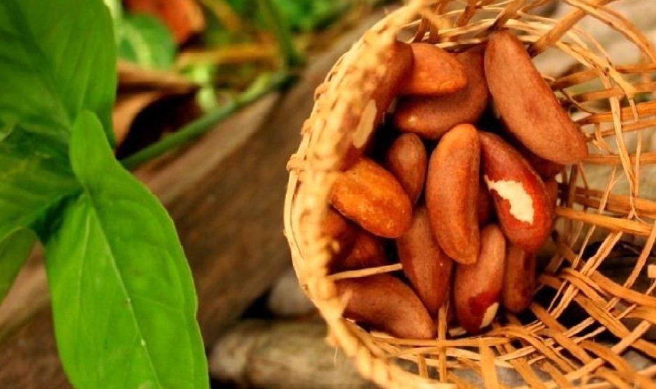 castanas peruanas