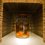 como preparar un macerado de pasas en pisco campo grande peru lima y provincias