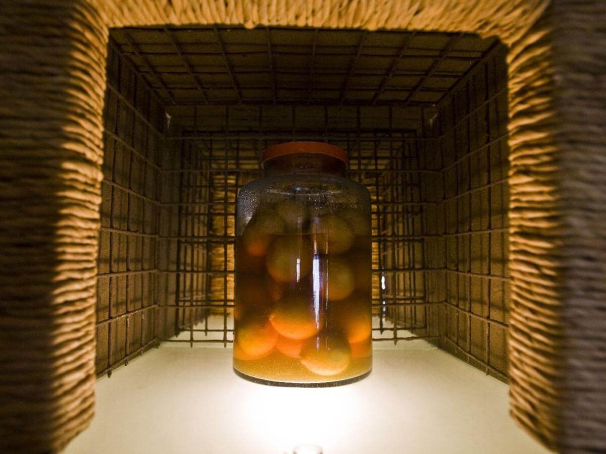 como preparar un macerado de pasas en pisco campo grande peru lima y provincias