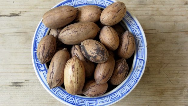cuantas pecanas comer al dia muestra