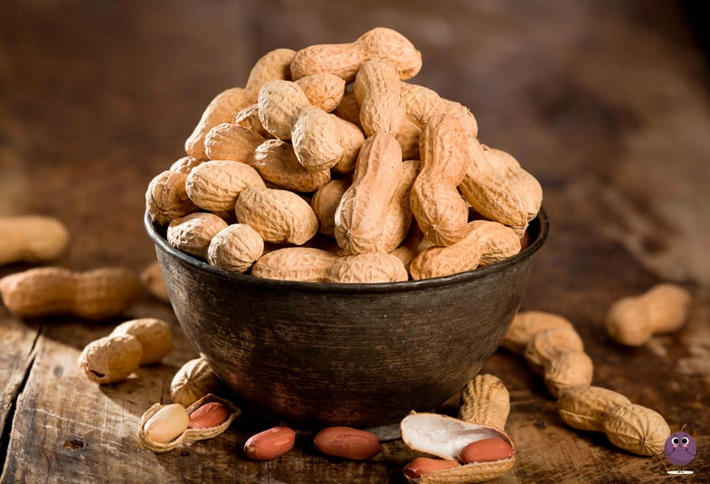 mani es un fruto fresco campo grande peru lima y provincias