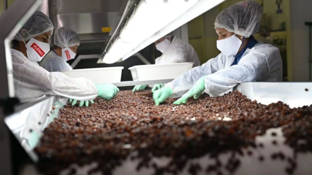 exportacion de pasas muestra 2