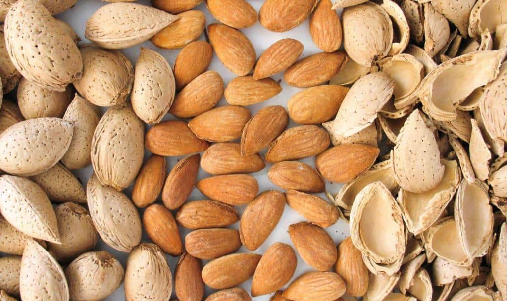 frutos secos mas nutritivos 2