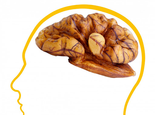 frutos secos para el cerebro 1