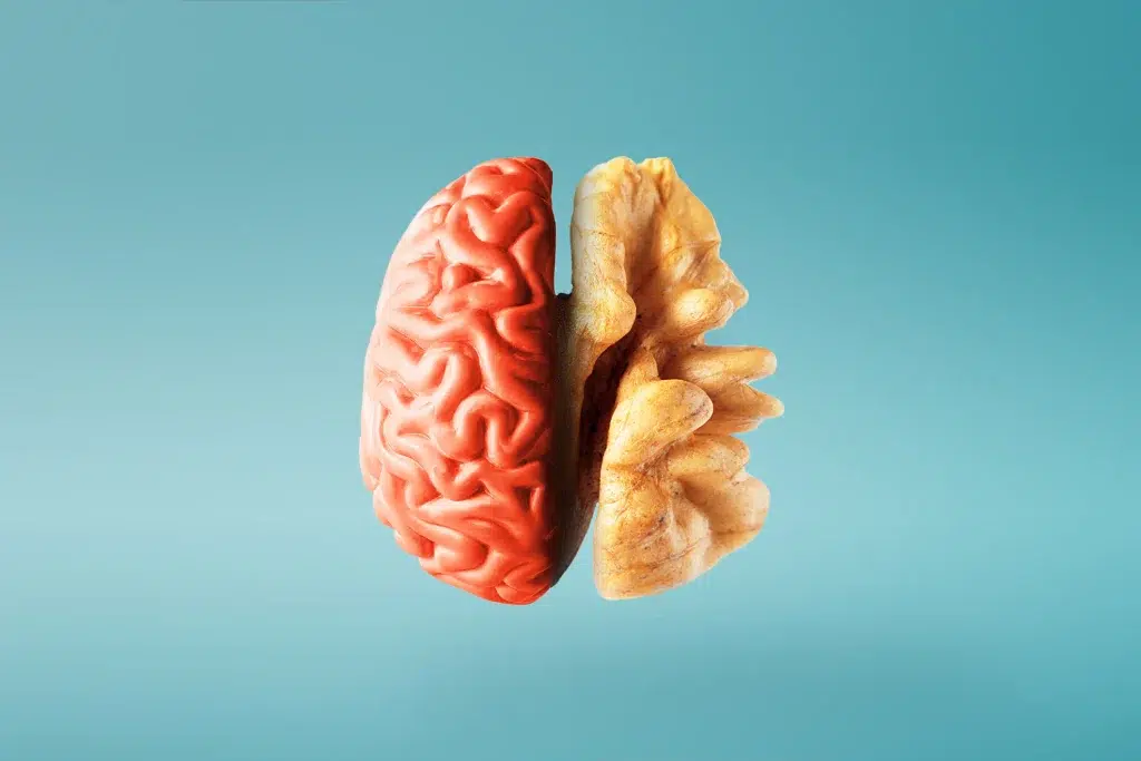 frutos secos para el cerebro campo grande peru lima y provincias