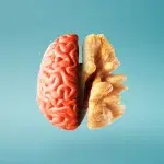 frutos secos para el cerebro campo grande peru lima y provincias