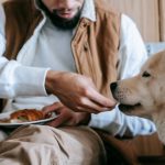 harina de avena para perros campo grande peru provincia