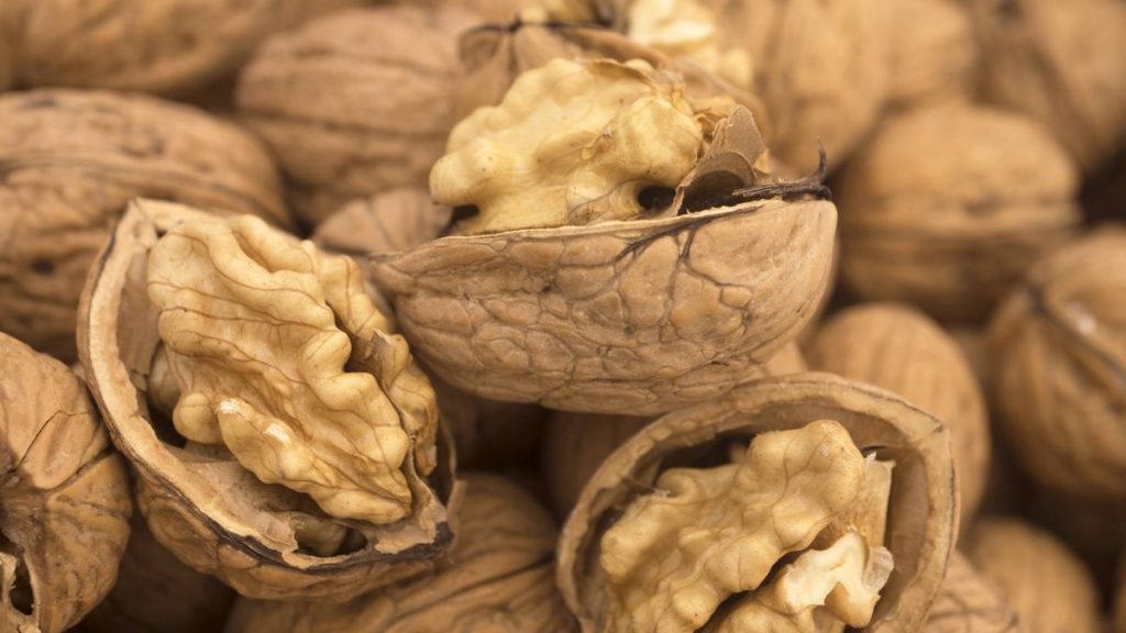 la nuez es fruta o semilla campo grande peru lima y provincias