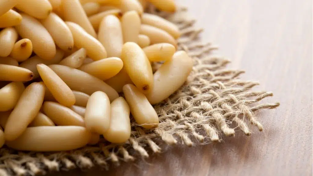 Beneficios de la Leche de Piñón: Nutrición, Usos y Consejos 2 leche de pinon