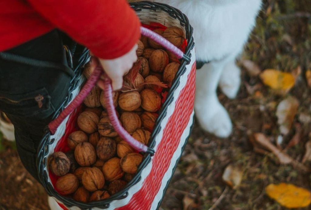 licor de crema de nuez campo grande peru