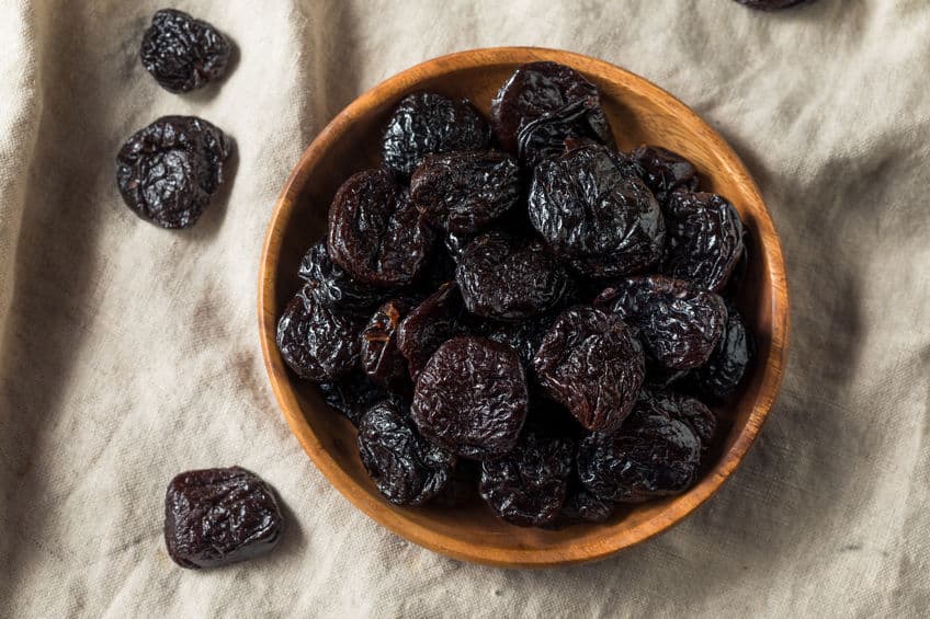 los gatos pueden comer pasas ejemplo