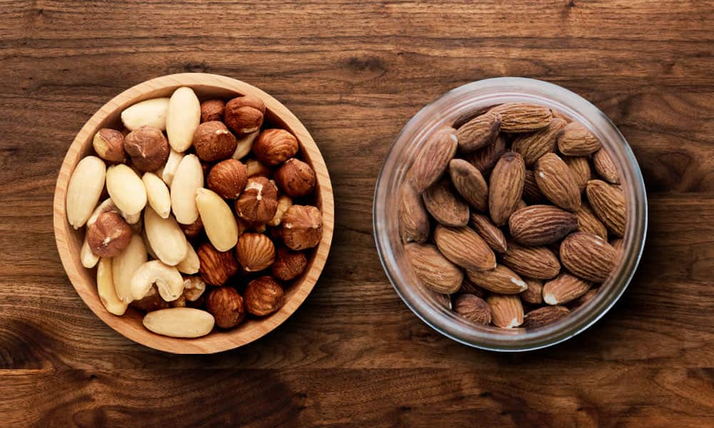 los perros pueden comer frutos secos 1