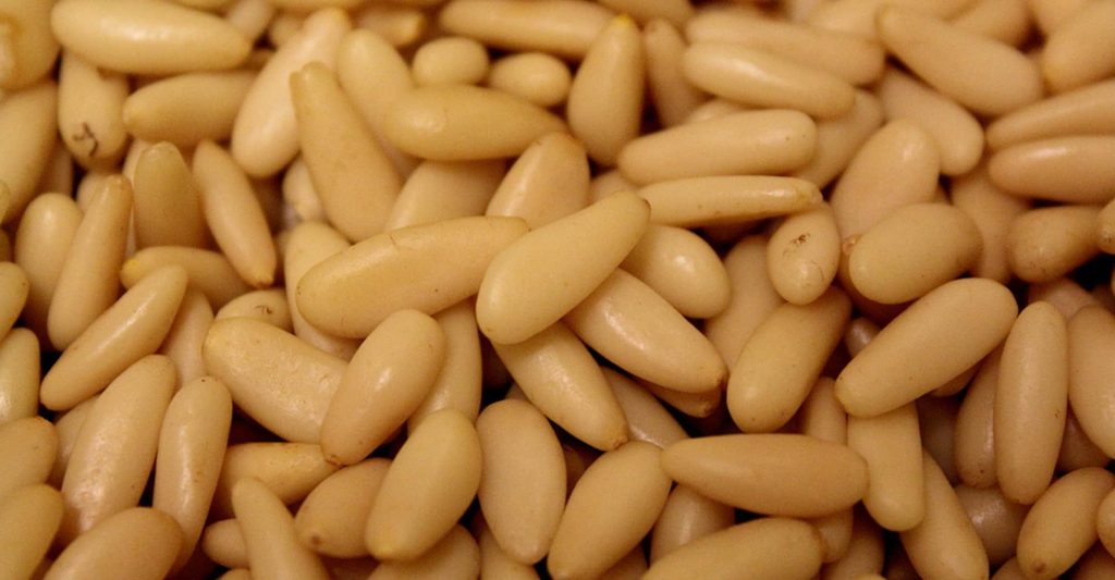 los pinones se comen crudos campo grande peru lima y provincias