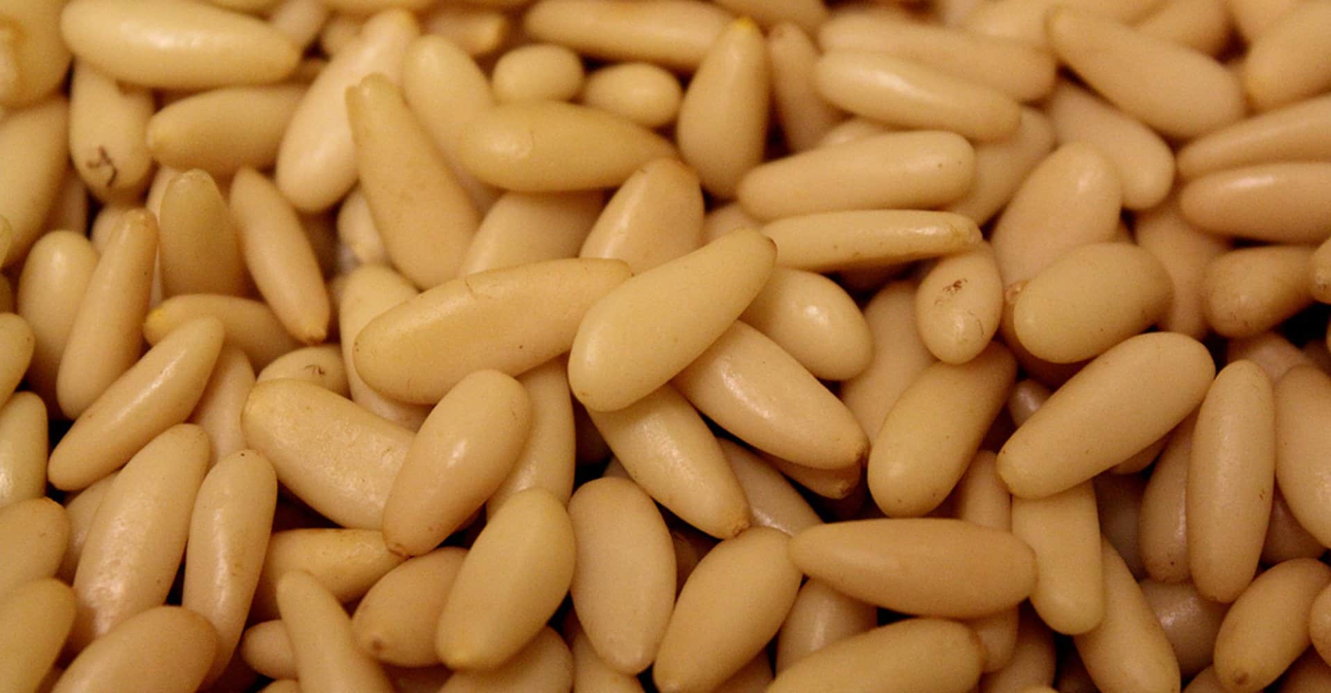 los pinones se comen crudos campo grande peru lima y provincias