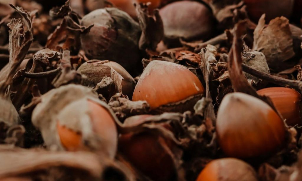 mantequilla de avellanas campo grande peru lima y provincias