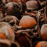 mantequilla de avellanas campo grande peru lima y provincias