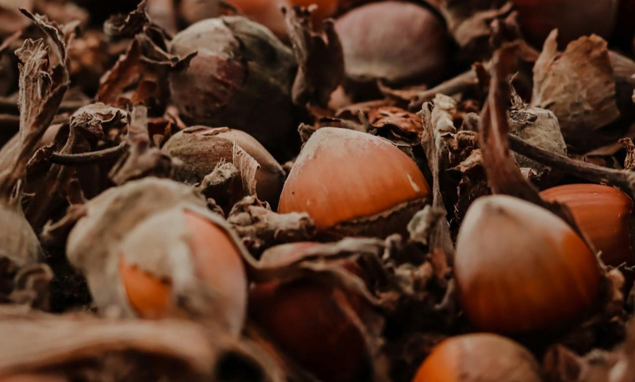 mantequilla de avellanas campo grande peru lima y provincias