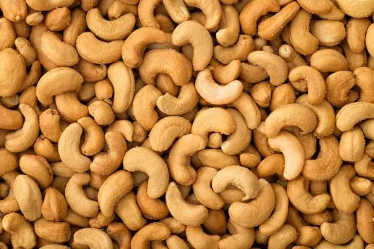 nuez de la india