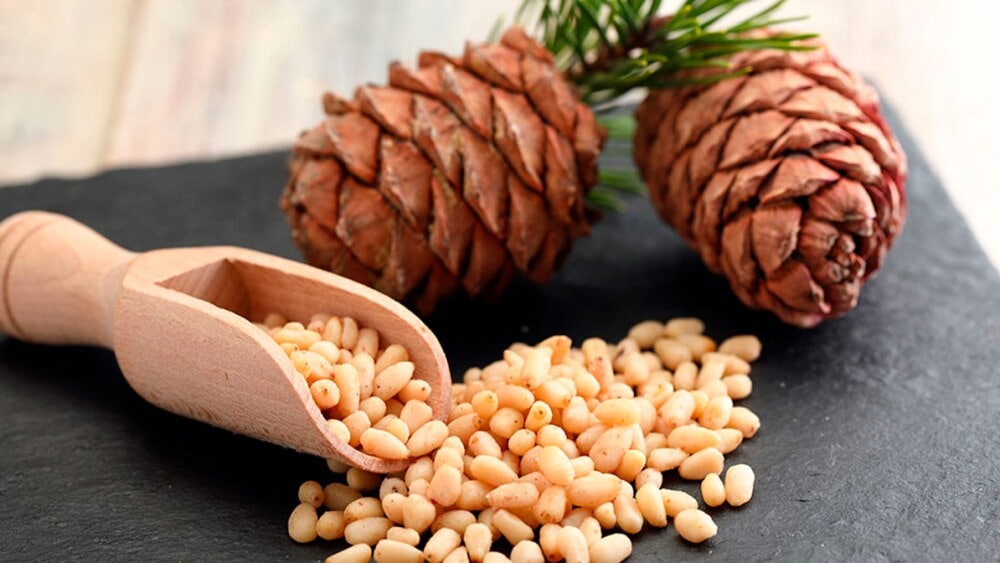 origen de los pinones