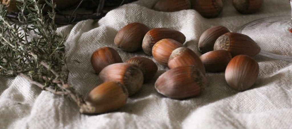 para que sirven las avellanas campo grande