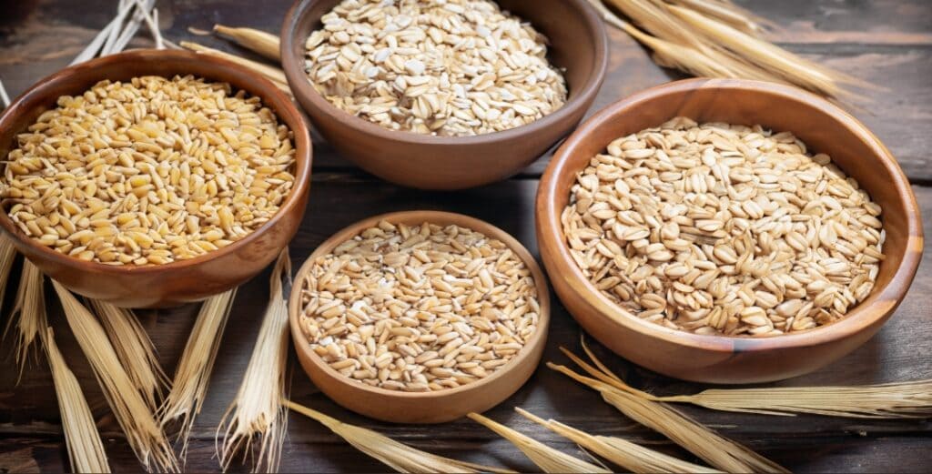 planta de avena 2
